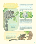 Гениальные глаза — фото, картинка — 5