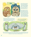 Гениальные глаза — фото, картинка — 8