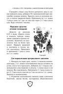 Cпецназ ГРУ. Учебник самолечения и питания — фото, картинка — 29