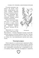 Cпецназ ГРУ. Учебник самолечения и питания — фото, картинка — 47