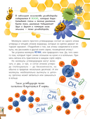 Про нефть. Как её ищут, добывают и используют — фото, картинка — 5