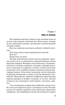 Четыре крыла — фото, картинка — 5