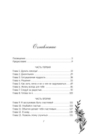 Поезд до жизни мечты. Психологический роман про поиск счастья, предназначения и смысла — фото, картинка — 6