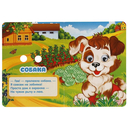 Домашние животные — фото, картинка — 3