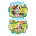 Мамы и малыши — фото, картинка — 1