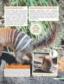 Красная книга мира. Млекопитающие, птицы, рептилии, амфибии, рыбы — фото, картинка — 17