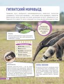 Красная книга мира. Млекопитающие, птицы, рептилии, амфибии, рыбы — фото, картинка — 18