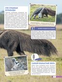 Красная книга мира. Млекопитающие, птицы, рептилии, амфибии, рыбы — фото, картинка — 19