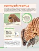 Красная книга мира. Млекопитающие, птицы, рептилии, амфибии, рыбы — фото, картинка — 20