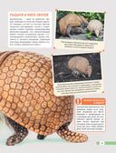 Красная книга мира. Млекопитающие, птицы, рептилии, амфибии, рыбы — фото, картинка — 21