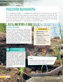 Красная книга мира. Млекопитающие, птицы, рептилии, амфибии, рыбы — фото, картинка — 22