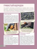 Красная книга мира. Млекопитающие, птицы, рептилии, амфибии, рыбы — фото, картинка — 24