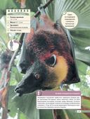 Красная книга мира. Млекопитающие, птицы, рептилии, амфибии, рыбы — фото, картинка — 25