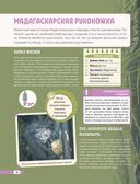 Красная книга мира. Млекопитающие, птицы, рептилии, амфибии, рыбы — фото, картинка — 26