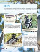 Красная книга мира. Млекопитающие, птицы, рептилии, амфибии, рыбы — фото, картинка — 28