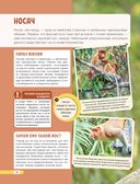 Красная книга мира. Млекопитающие, птицы, рептилии, амфибии, рыбы — фото, картинка — 32