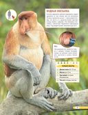 Красная книга мира. Млекопитающие, птицы, рептилии, амфибии, рыбы — фото, картинка — 33