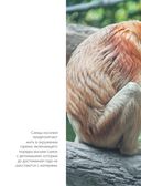 Красная книга мира. Млекопитающие, птицы, рептилии, амфибии, рыбы — фото, картинка — 34