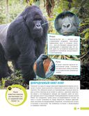 Красная книга мира. Млекопитающие, птицы, рептилии, амфибии, рыбы — фото, картинка — 39