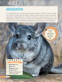 Красная книга мира. Млекопитающие, птицы, рептилии, амфибии, рыбы — фото, картинка — 40