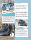 Красная книга мира. Млекопитающие, птицы, рептилии, амфибии, рыбы — фото, картинка — 41