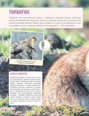 Красная книга мира. Млекопитающие, птицы, рептилии, амфибии, рыбы — фото, картинка — 42