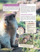 Красная книга мира. Млекопитающие, птицы, рептилии, амфибии, рыбы — фото, картинка — 43