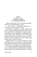 Чёрный корсар — фото, картинка — 9