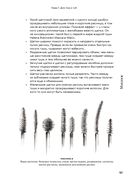 Нормально о косметике. Как разобраться в уходе и макияже и не сойти с ума — фото, картинка — 27