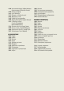 Главное в истории исламского искусства — фото, картинка — 5