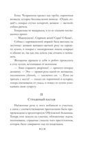 В поисках убийцы — фото, картинка — 10