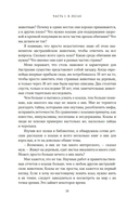 Хюгге от коал: жизнь среди деревьев — фото, картинка — 18