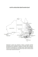 Хюгге от коал: жизнь среди деревьев — фото, картинка — 8