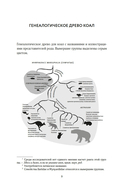 Хюгге от коал: жизнь среди деревьев — фото, картинка — 9