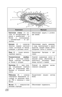 Биология (+ обучающие видео) — фото, картинка — 12