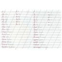 Каллиграфическая пропись. Пишем слоги и слова — фото, картинка — 2