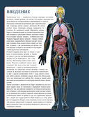 Атлас анатомии человека с дополненной реальностью — фото, картинка — 2