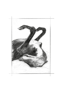 Ведьма — фото, картинка — 23