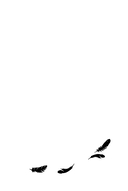 Ведьма — фото, картинка — 38