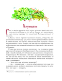 Золотая коллекция сказок — фото, картинка — 4