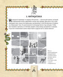 Детективный квест. Сокровища города инков — фото, картинка — 9