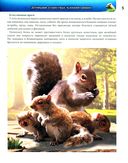 Детёныши животных — фото, картинка — 2