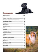 Все породы собак. Большая иллюстрированная энциклопедия — фото, картинка — 2