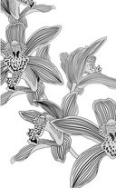 Лиловые орхидеи — фото, картинка — 1
