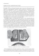 История реле. Как компьютер появился из радио, телефона и телеграфа — фото, картинка — 21