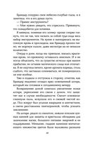 Пламя хаоса — фото, картинка — 44