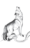 Легенды квилетов — фото, картинка — 3