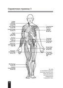 Мышцы человека. Краткий справочник — фото, картинка — 11