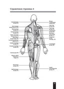 Мышцы человека. Краткий справочник — фото, картинка — 12