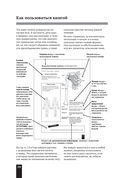 Мышцы человека. Краткий справочник — фото, картинка — 7